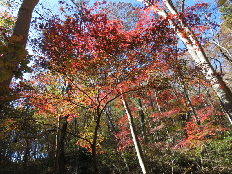 奥久慈・男体山